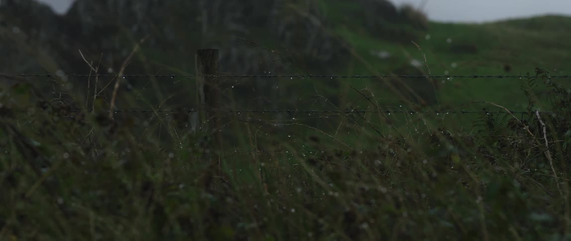 Raindrops cling to a barbed wire fence and blades of grass in a moody, green countryside landscape