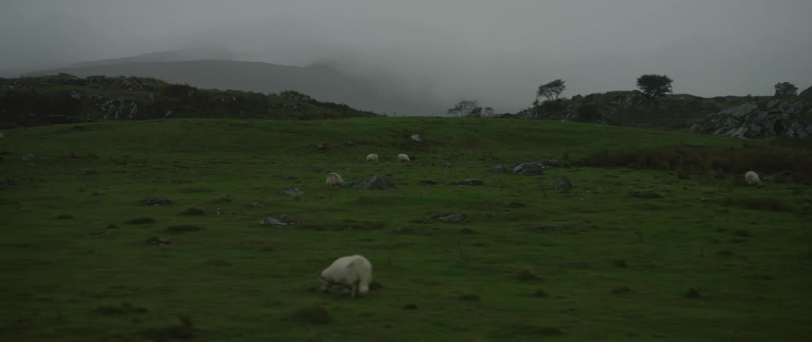 A tracking shot reveals sheep grazing in a misty, green pasture with rolling hills in the background