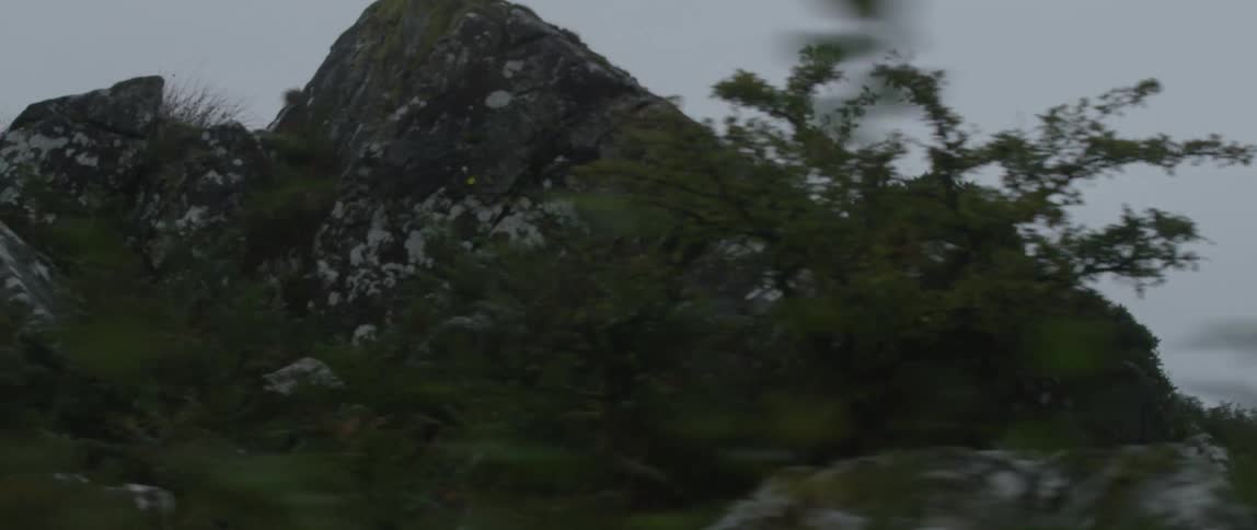 A slow pan across a rugged, moss-covered rocky hillside on a gloomy, overcast day