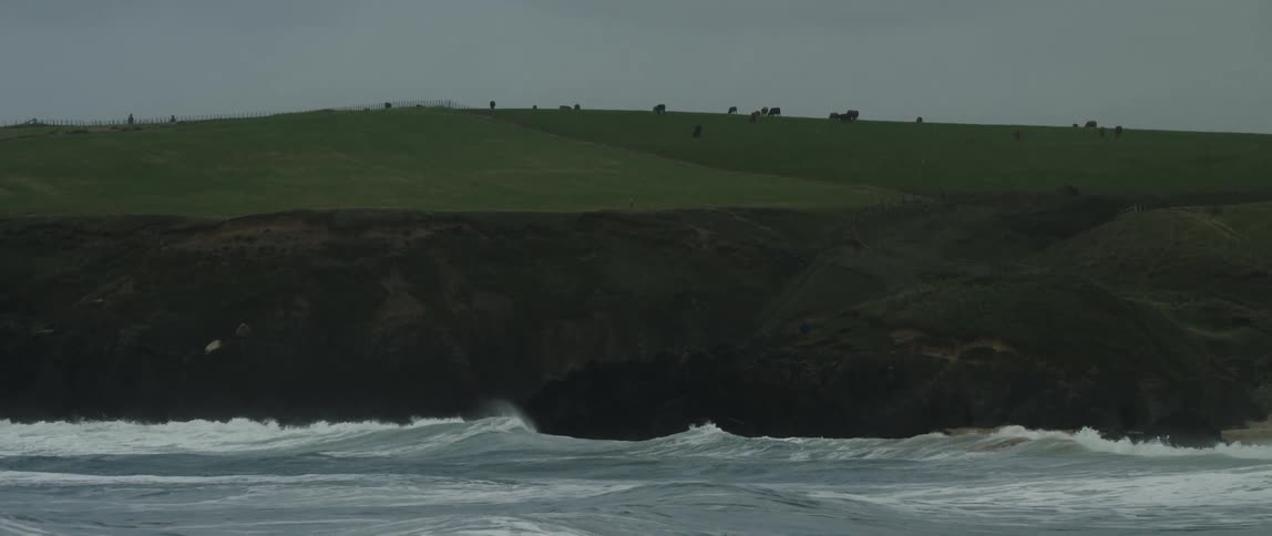 Ocean waves crash on a rugged coastline below a lush green pasture where cows graze on a moody day