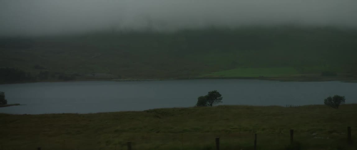 A view from a moving vehicle of a lone tree on the shore of a misty lake in a gloomy, green countryside