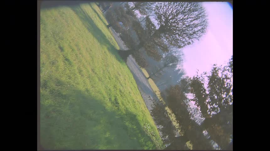 A dreamy and distorted vintage film captures a surreal, tilted view of a park with leafless trees