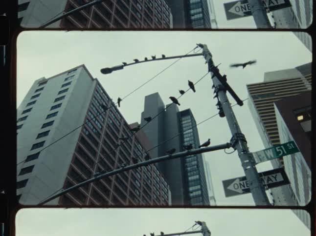 Vintage Super 8 film captures a low-angle view of pigeons perching and flying around a traffic light on W 51st Street in New York City