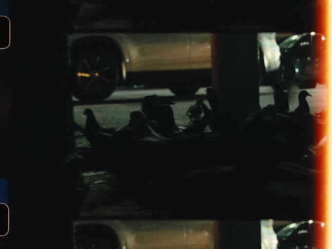 Vintage film footage shows pedestrians walking past pigeons gathered on a dark city street at night