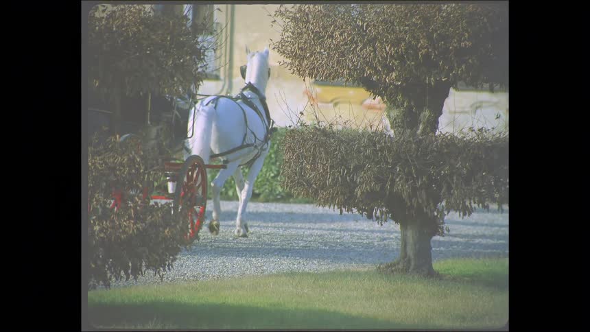 Vintage footage of two white horses pulling a carriage to a stop in front of a grand European mansion