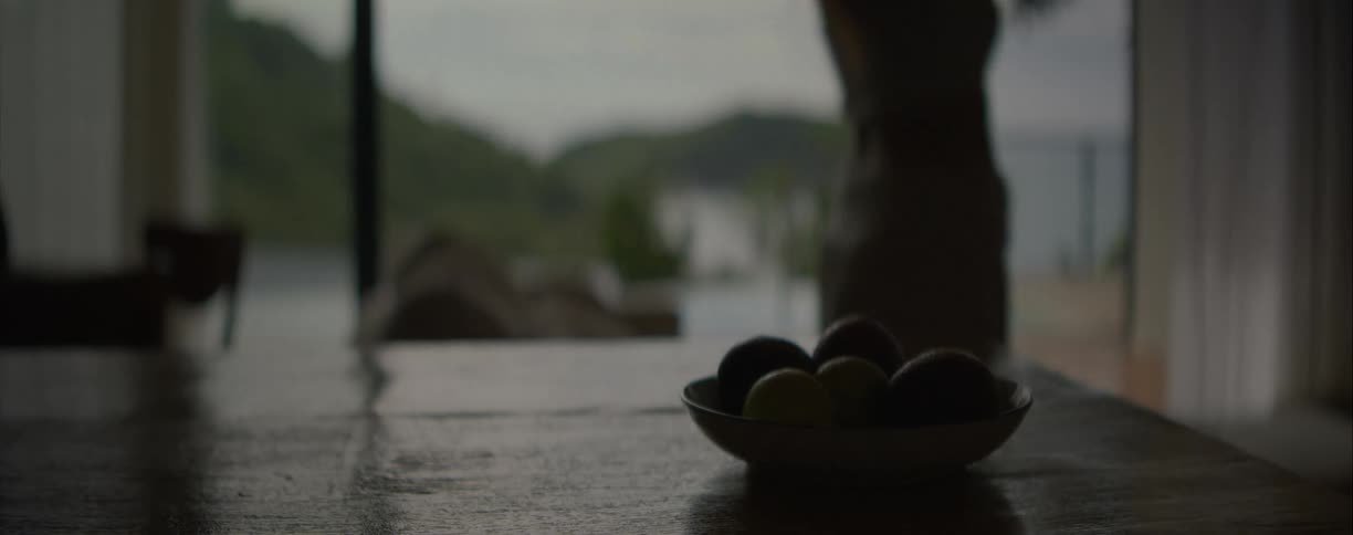 A bowl of fruit sits on a dark wooden table in a dimly lit room with a blurry tropical landscape in the background