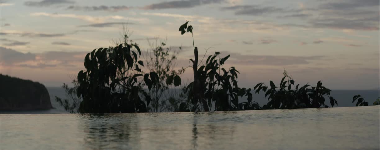 The calm waters of an infinity pool gently ripple at dusk, with silhouetted trees against a serene twilight sky in the background