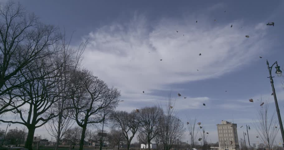Autumn leaves blow through the air in slow motion above a city park on a windy day