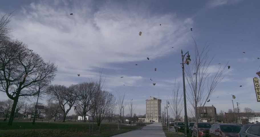 Dreamlike slow motion shot of autumn leaves floating through the air on a windy day in a city park