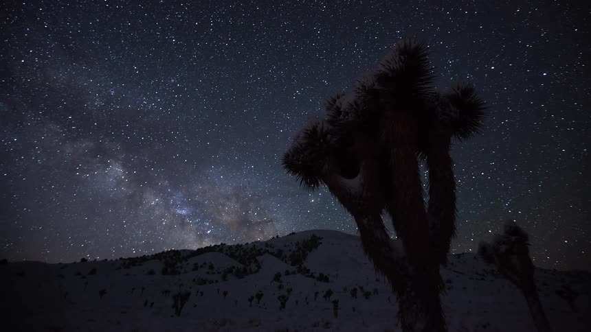 A stunning night-to-day timelapse shows the Milky Way moving across the starry sky over a snow-covered Joshua tree in the desert