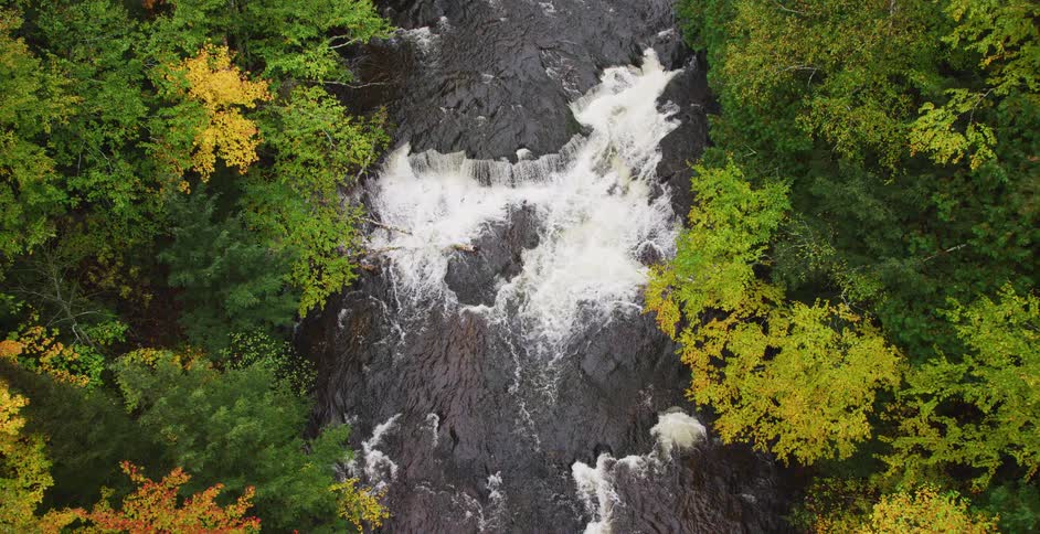 A static top-down view of a river with whitewater rapids flowing through a dense forest with vibrant autumn foliage