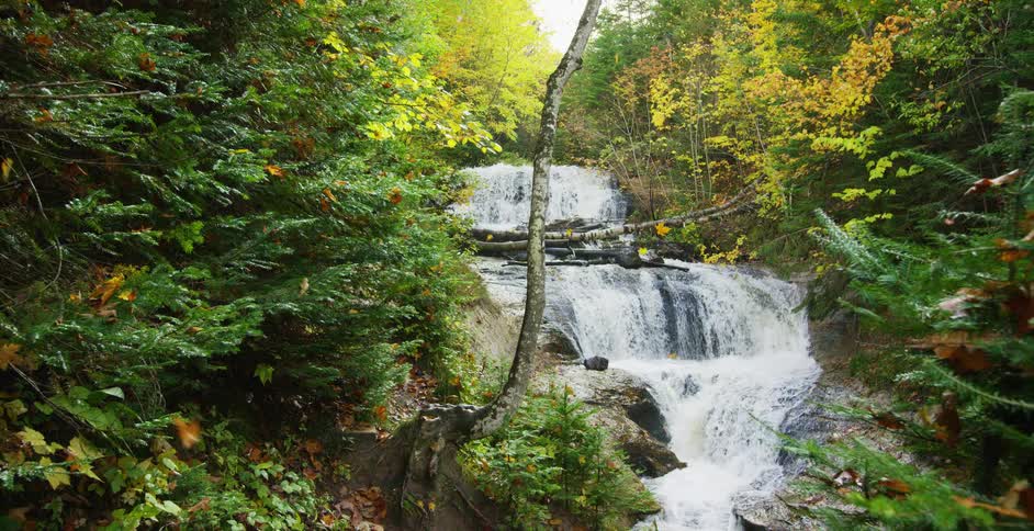 Golden autumn leaves fall in slow motion over a cascading waterfall in a lush, colorful forest