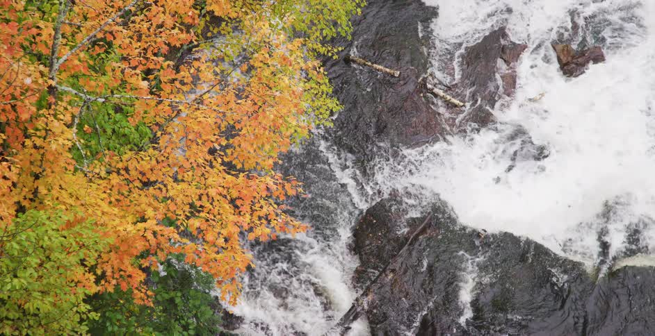A high-angle static shot shows vibrant orange and yellow autumn leaves framing a powerful, rushing river with white water rapids over dark rocks