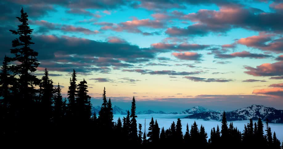 A tranquil cinemagraph of a colorful sunset sky over a sea of fog, framed by silhouetted pine trees and snow-capped mountains