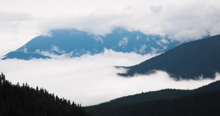 A stunning timelapse shows thick white clouds slowly moving through the valleys of a majestic evergreen mountain range
