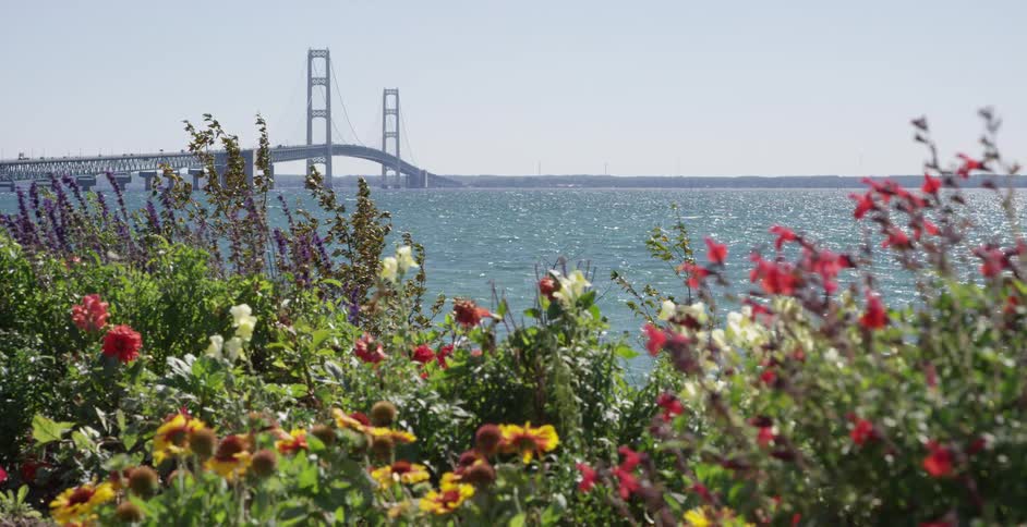 A scenic view of the Mackinac Bridge from a colorful flower garden on the shores of the Great Lakes