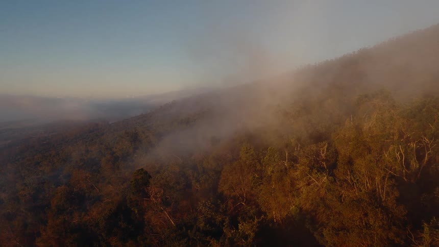 A slow aerial pull back over a dense mountain forest covered in a thick layer of smoke or fog during a golden sunrise