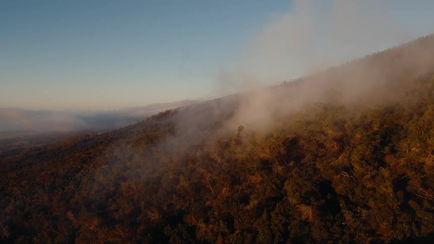A breathtaking aerial shot captures the serene beauty of a misty, forest-covered mountainside during the golden hour