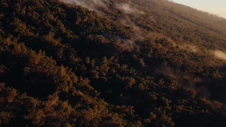 Golden hour light illuminates wisps of smoke rising from a vast, dense forest covering a steep mountainside