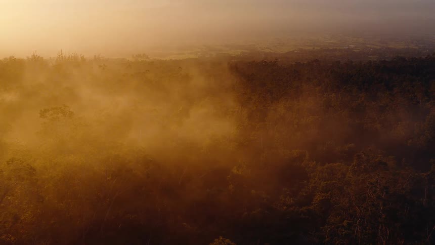 An ethereal aerial view of golden sunlight filtering through rolling mist over a vast forest canopy at sunrise