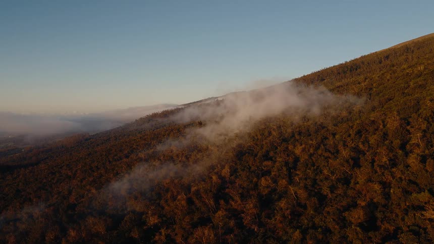 A static aerial cinemagraph shows clouds drifting over a vast, golden-lit forest on a mountainside at sunrise