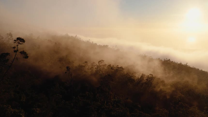 A slow aerial shot pushes forward over a misty mountain jungle landscape during a beautiful golden sunrise