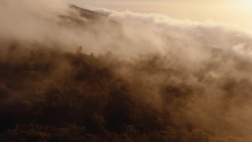 A static aerial view of dense fog and clouds rolling over a lush, forested mountainside during a golden sunrise