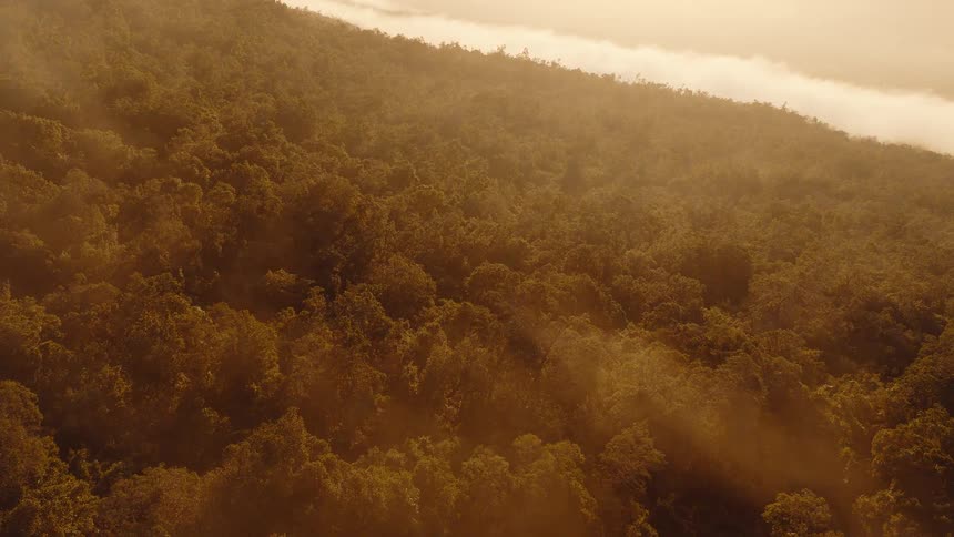 Aerial view of a misty forest with golden sunbeams breaking through the clouds at sunrise