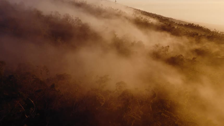 A serene aerial view captures golden mist slowly moving across a dense forest on a mountainside at sunrise