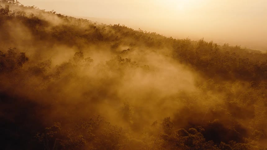 An ethereal aerial view captures a foggy jungle landscape bathed in the warm, golden glow of a beautiful sunrise