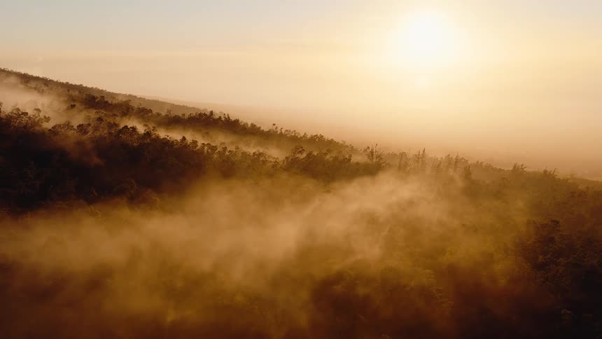 Golden light from the rising sun illuminates the mist as it slowly drifts across a lush, forested mountainside