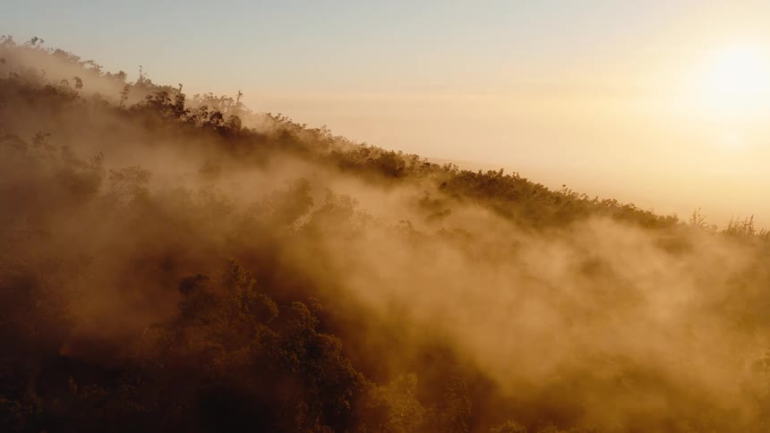 A majestic aerial shot captures the golden sun illuminating thick fog rolling over a lush, jungle-covered mountain at sunrise