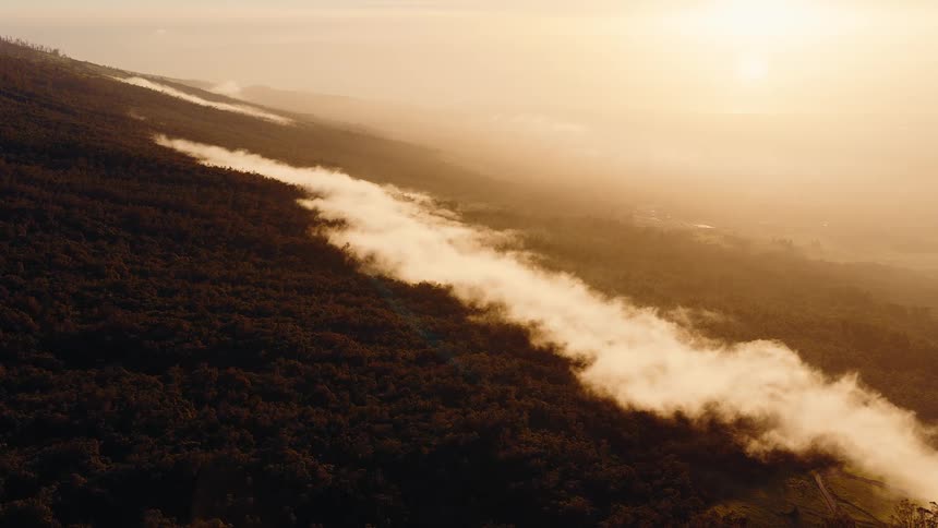 A beautiful aerial shot captures a mystical river of clouds flowing over a forested mountain during a hazy golden sunrise