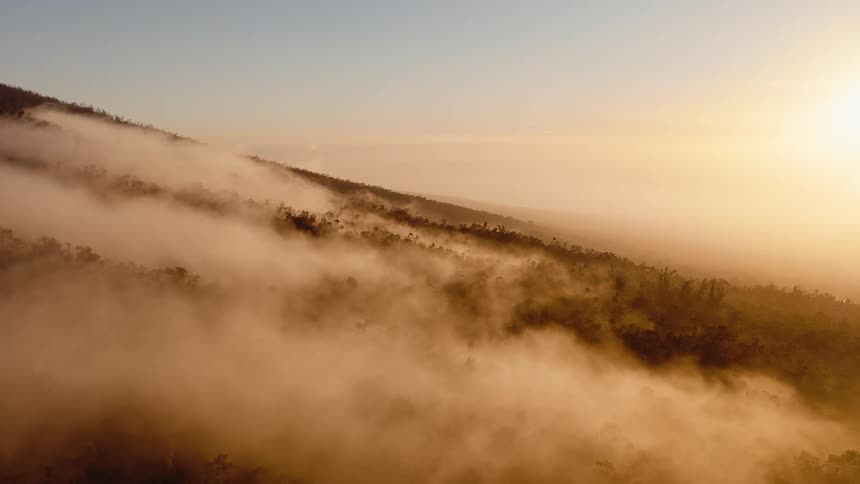 A stunning aerial view captures the golden light of sunrise shining through thick fog as it rolls over a tropical mountain forest