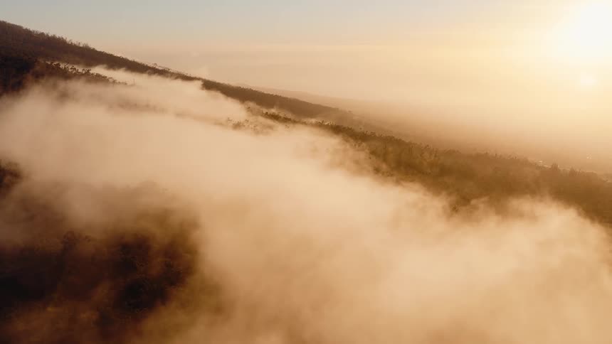 A serene aerial shot captures a thick blanket of clouds flowing over a lush, forested mountainside at golden hour