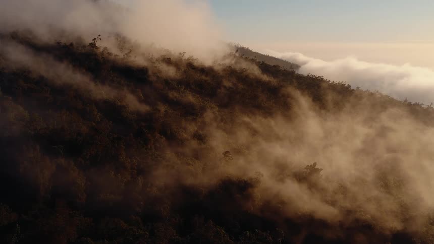 Ethereal clouds and fog roll over a dense mountain forest illuminated by the warm light of sunrise
