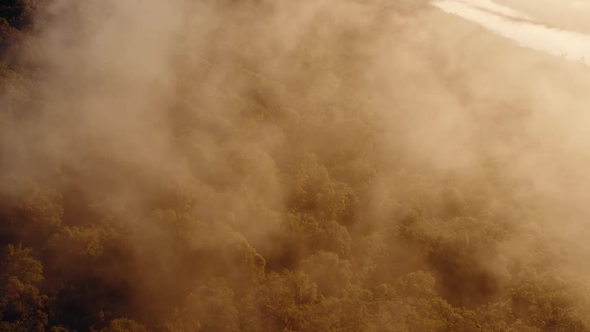 A serene aerial view shows golden clouds drifting slowly over a lush mountain forest at sunrise