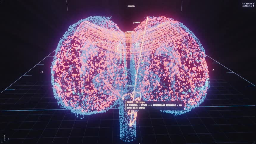 Futuristic digital scan shows neural activity and data pathways within a three-dimensional model of the human brain