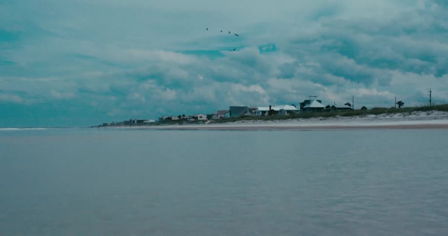 A serene, wide shot from the calm ocean shows a distant beach lined with houses under a moody, cloudy sky