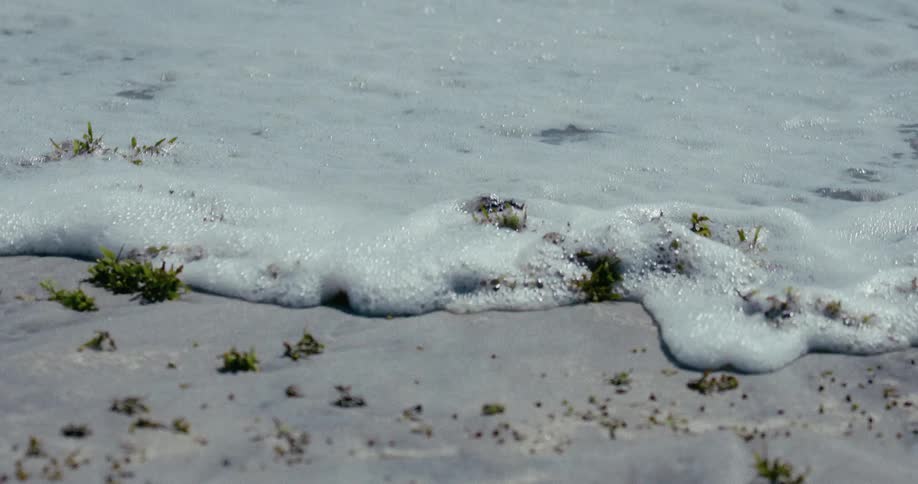 A close-up, slow-motion shot of a gentle ocean wave with sea foam washing over seaweed on a sandy beach