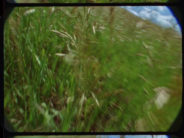 A disorienting first-person view of running through a grassy field with wildflowers on a sunny day, captured on vintage film