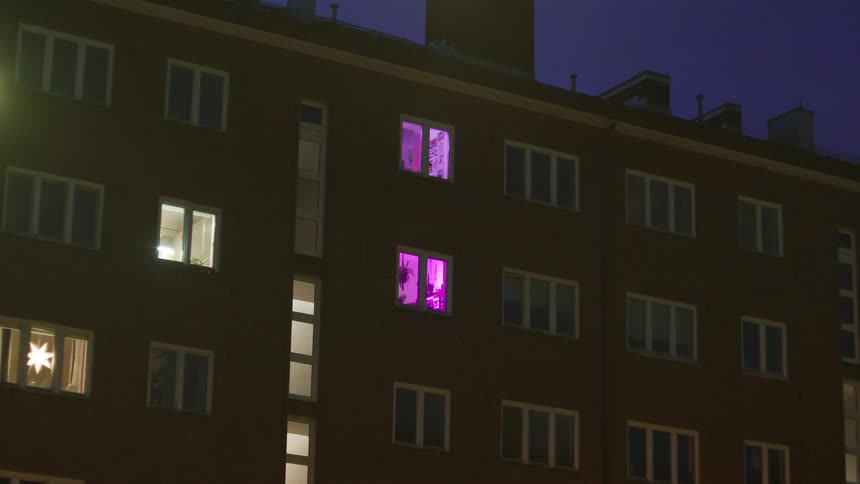 An apartment building at night shows various lit windows, with two glowing purple and one displaying a Christmas star