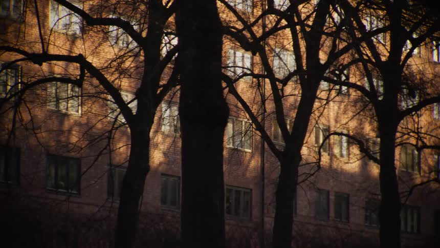A slow pan reveals a warm-toned brick building through the silhouettes of bare trees at golden hour