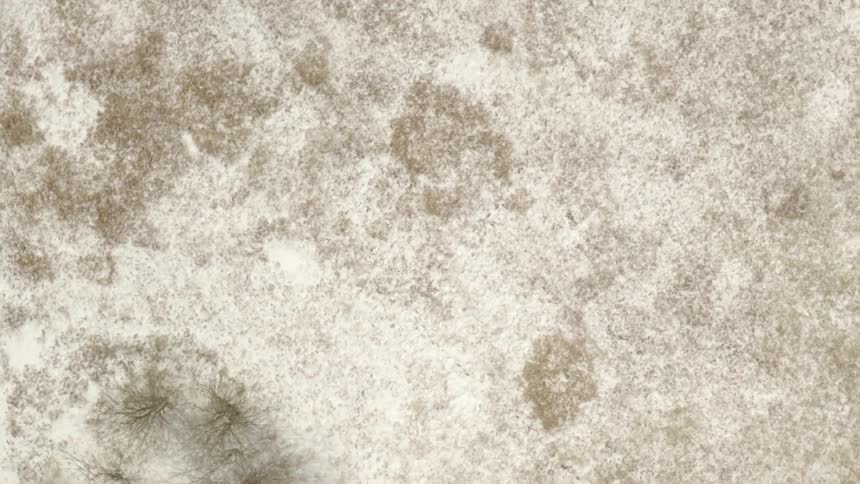 An aerial top-down view slowly pans over a desolate, snow-covered landscape with sparse, leafless bushes