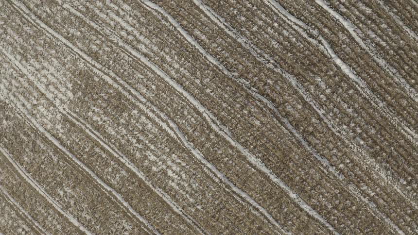 Graphic top-down aerial view slowly rotates and reveals a snowy, harvested cornfield in winter