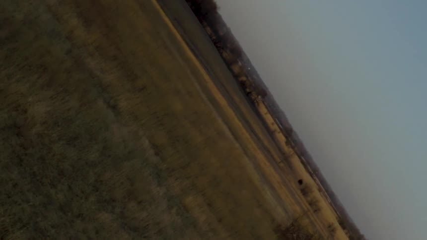 A serene golden landscape is turned upside down by a slow, disorienting camera rotation
