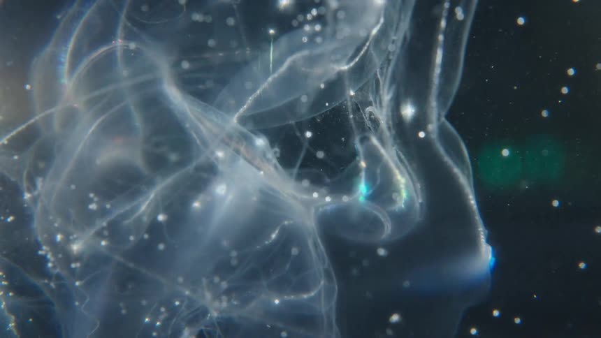 Ethereal wisps of white ink and sparkling glitter swirl slowly in a dark, abstract liquid