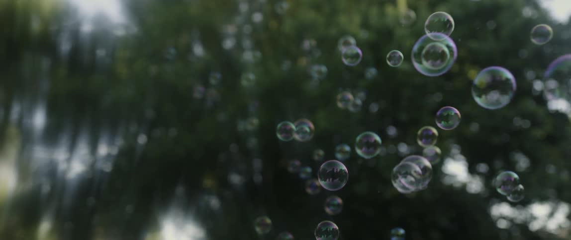 Bubbles floating near trees outside
