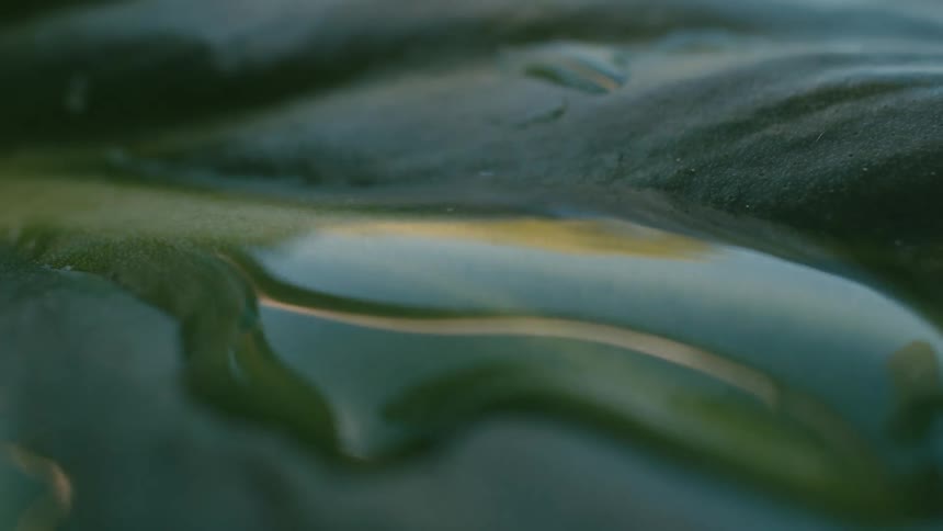 Extreme close-up of water droplets merging and rippling on the surface of a green leaf in slow motion