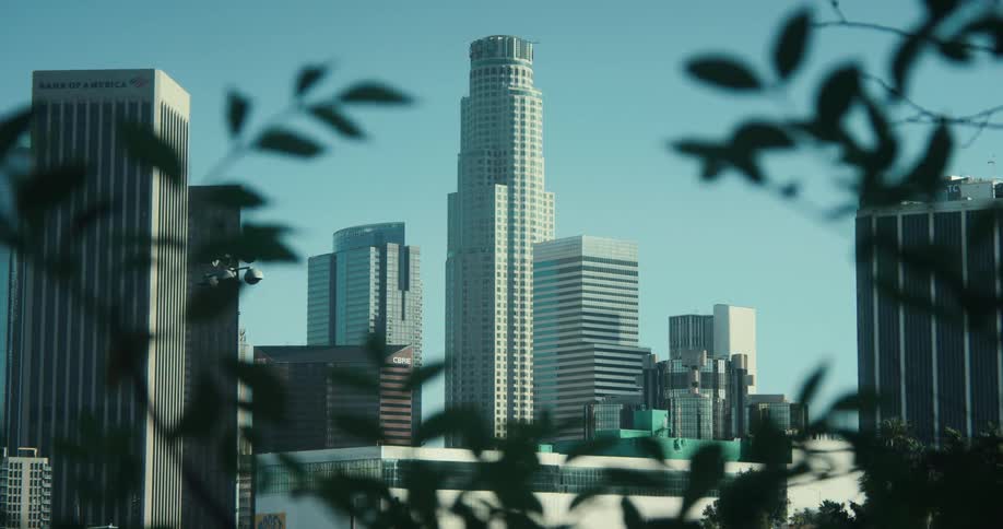 A serene view of the Downtown Los Angeles skyline, framed by lush green leaves on a clear sunny day